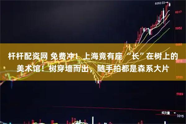 杆杆配资网 免费冲！上海竟有座 “长”在树上的美术馆！树穿墙而出，随手拍都是森系大片